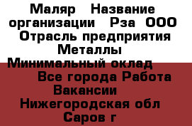 Маляр › Название организации ­ Рза, ООО › Отрасль предприятия ­ Металлы › Минимальный оклад ­ 40 000 - Все города Работа » Вакансии   . Нижегородская обл.,Саров г.
